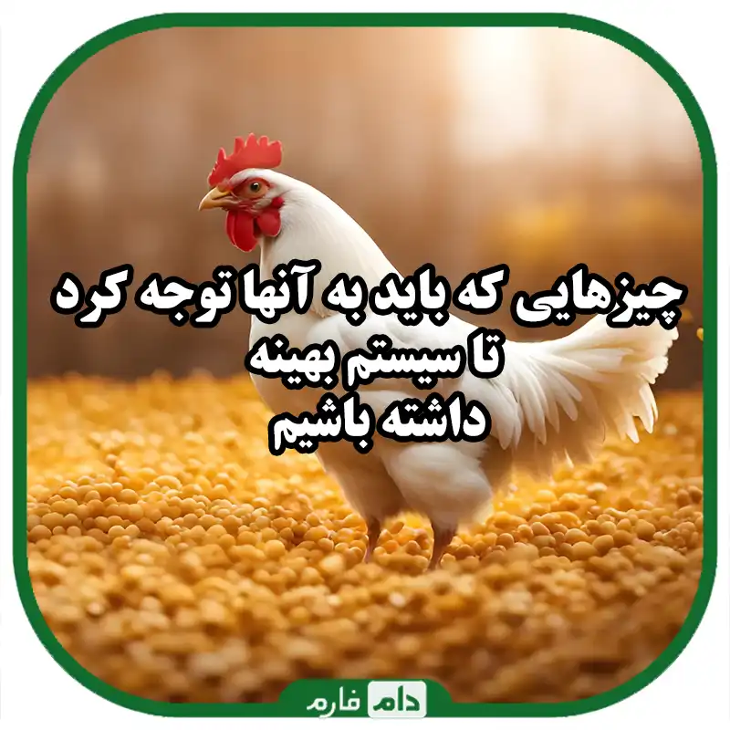 The-best-optimal-feeding-system-for-rearing-in-poultry