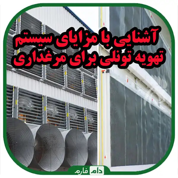 Tunnel-ventilation-system-in-poultry-sheds