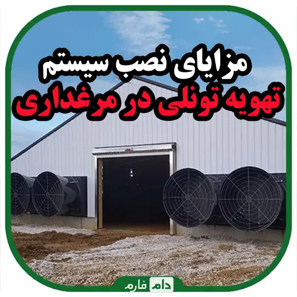 Tunnel-ventilation-system-in-poultry-sheds