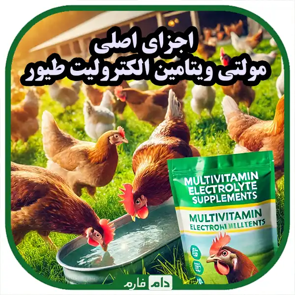 Poultry-electrolyte-multivitamin