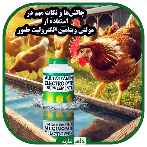 Poultry-electrolyte-multivitamin