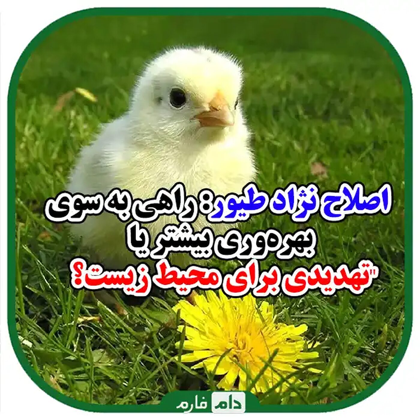اثرات_زیست‌محیطی_اصلاح_نژاد_طیور:_چالش‌ها_و_فرصت‌ها