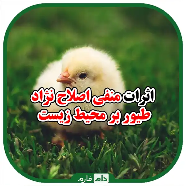 Ecology-of-Poultry-Breeding:-Challenges-and-Opportunities