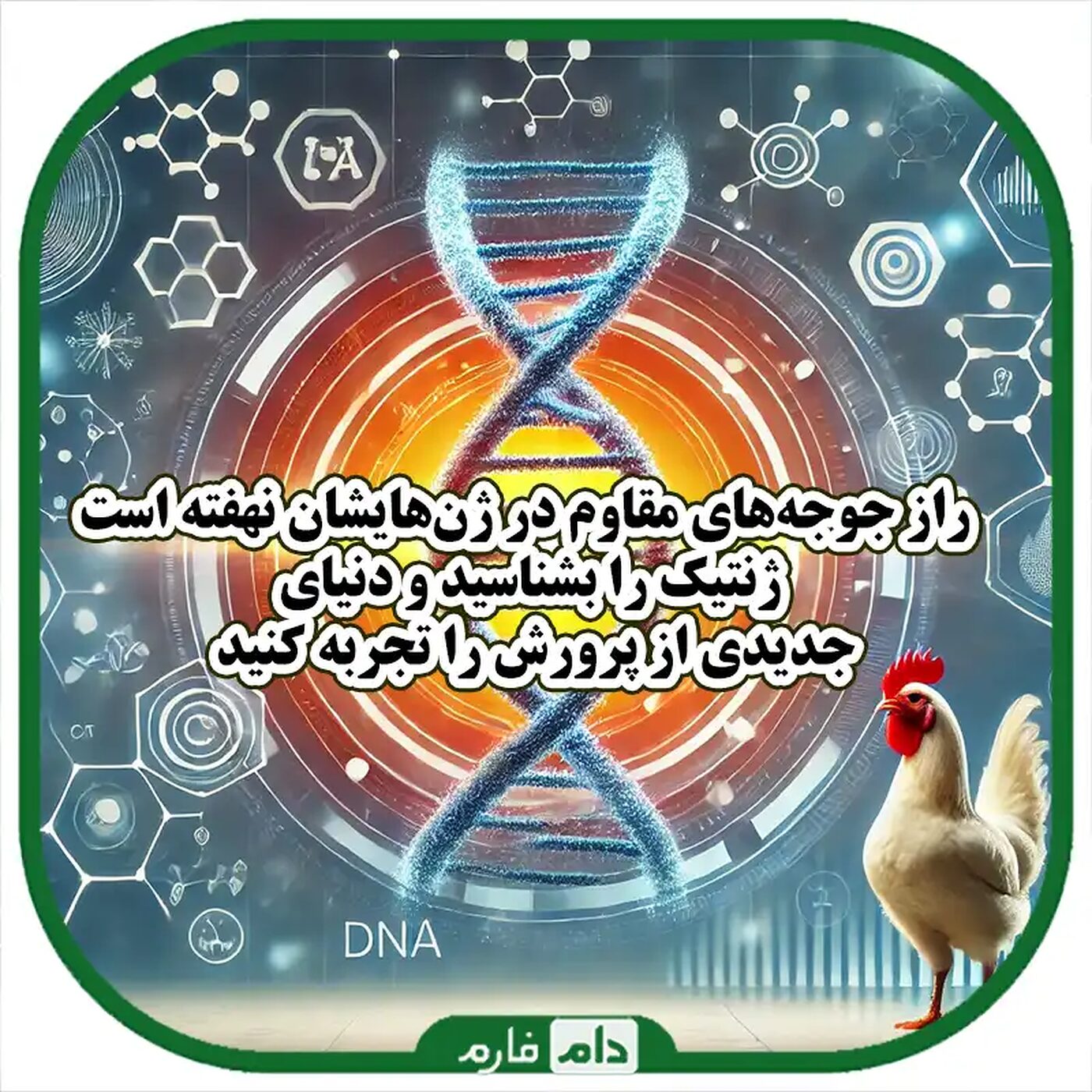 تأثیر_ژنتیک_بر_طول_عمر_جوجه‌ها_کشف_رازهای_ژن‌ها_در_بقای_بهتر