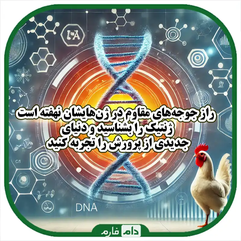 تأثیر_ژنتیک_بر_طول_عمر_جوجه‌ها_کشف_رازهای_ژن‌ها_در_بقای_بهتر