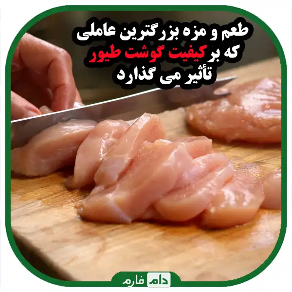 The-best-factors-that-affect-the-quality-of-poultry-meat