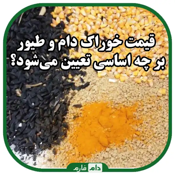 قیمت_خوراک_دام_و_طیور_را_از_کجا_مطلع_شویم؟