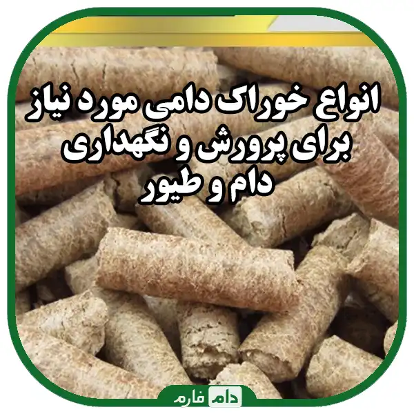 Where-can-we-find-out-the-price-of-livestock-and-poultry-feed