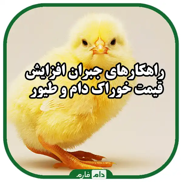 Where-can-we-find-out-the-price-of-livestock-and-poultry-feed