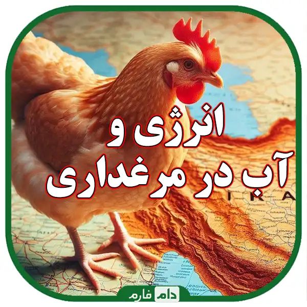 Production-costs-and-profitability-strategies-in-the-poultry-industry