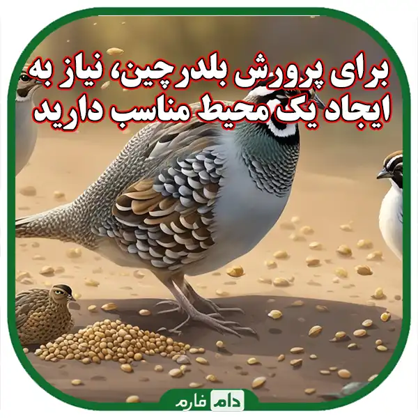 Quail-farming-comprehensive-guide-to-start-a-successful-business