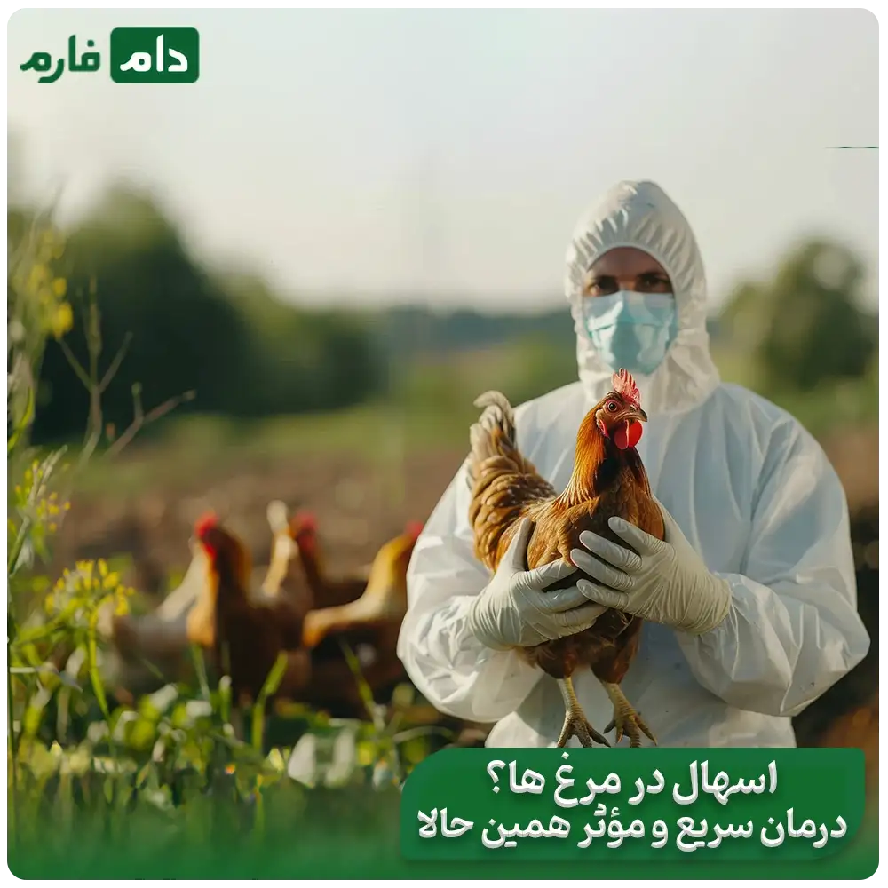 What-solutions-are-possible-to-treat-poultry-diarrhea