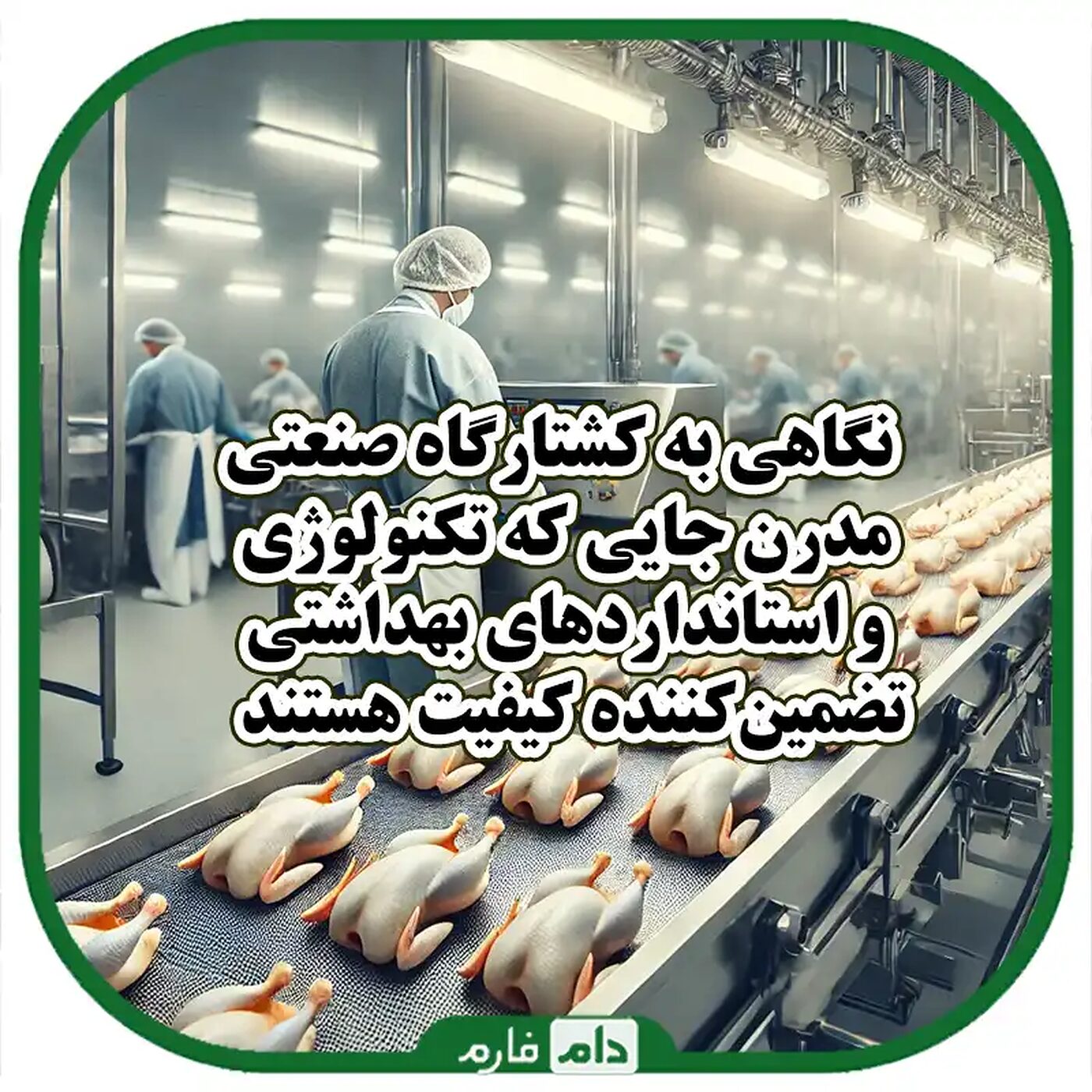 مراحل_کشتار_مرغ_در_کشتارگاه_صنعتی