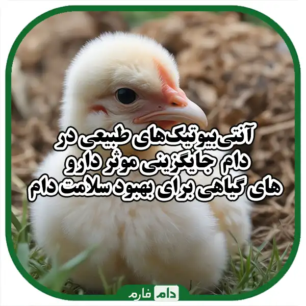 Natural-Antibiotics-in-Livestock:-Therapeutic-Solutions-to-Improve-Livestock-Health