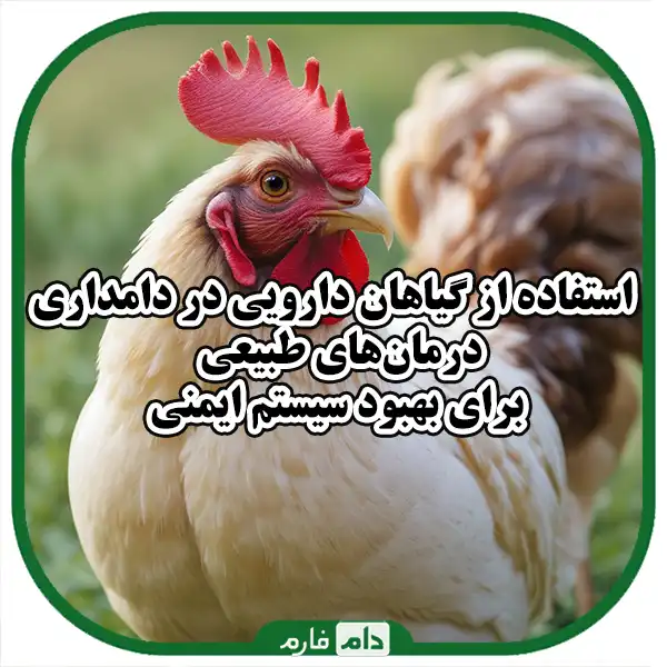 Natural-Antibiotics-in-Livestock:-Therapeutic-Solutions-to-Improve-Livestock-Health