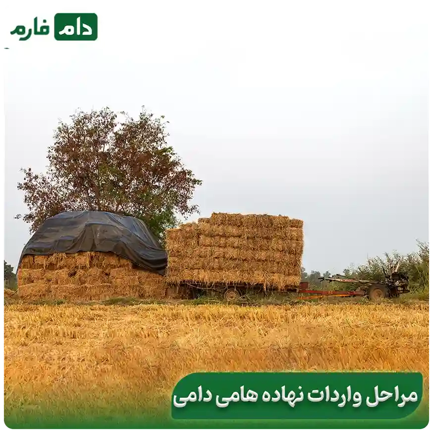 How-are--livestock--institutions--provided