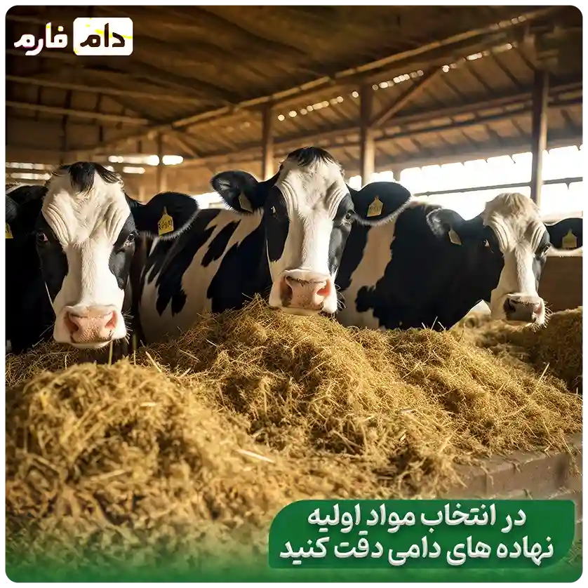 How-are--livestock--institutions--provided