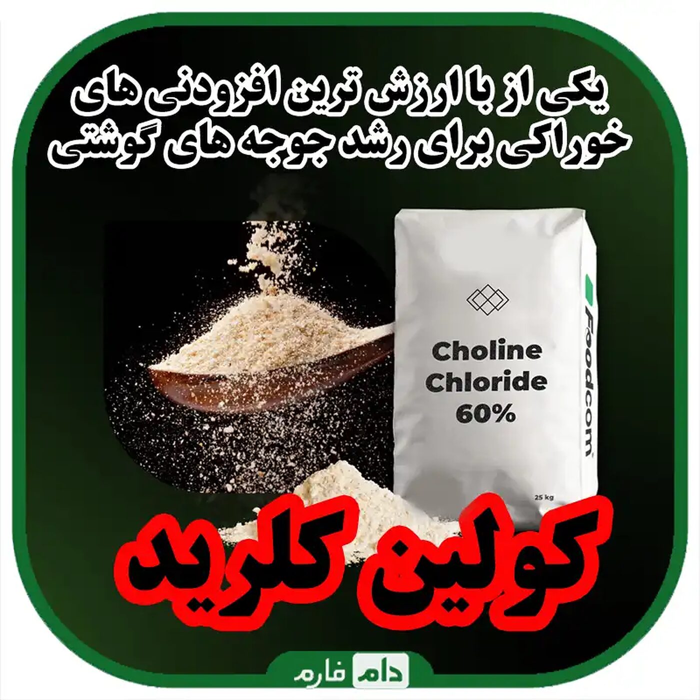 کولین_کلرید_:_راز_پنهانی_که_مرغداران_موفق_از_آن_بهره_می‌برند!