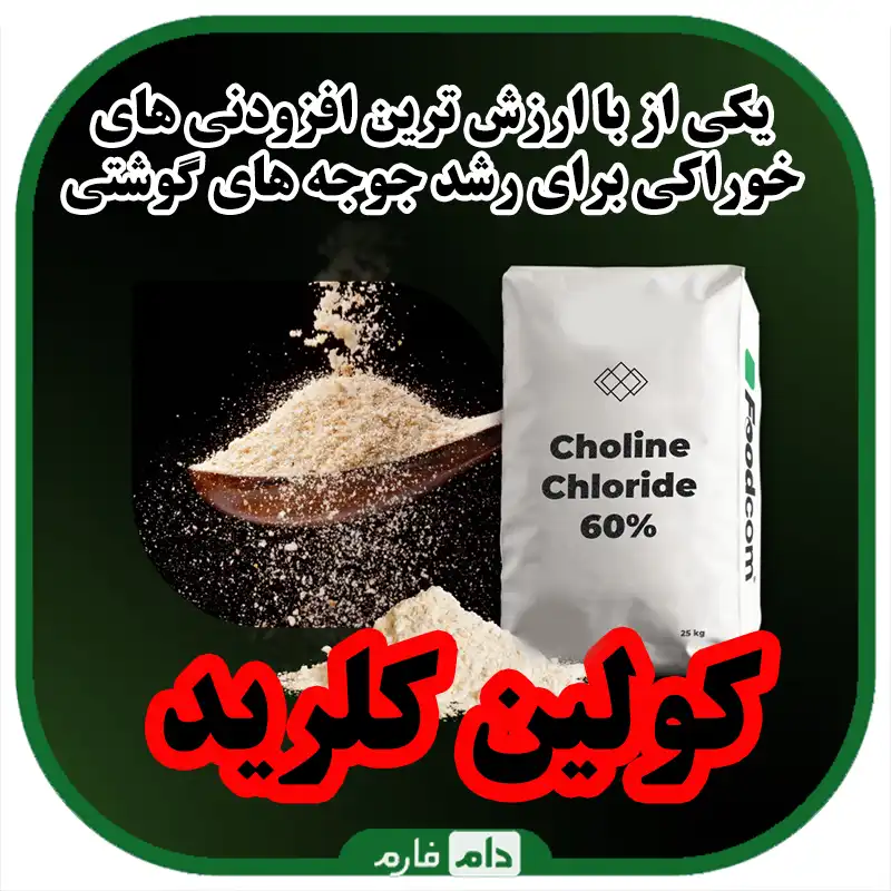 کولین_کلرید_و_تاثیر_آن_در_رشد_جوجه_های_گوشتی