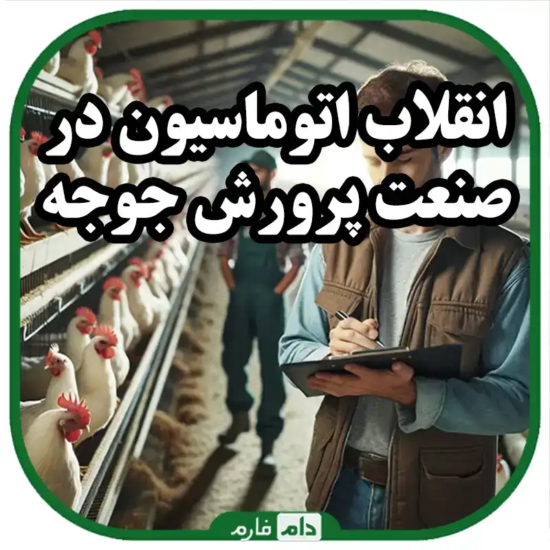انقلاب_اتوماسیون_در_صنعت_پرورش_جوجه_