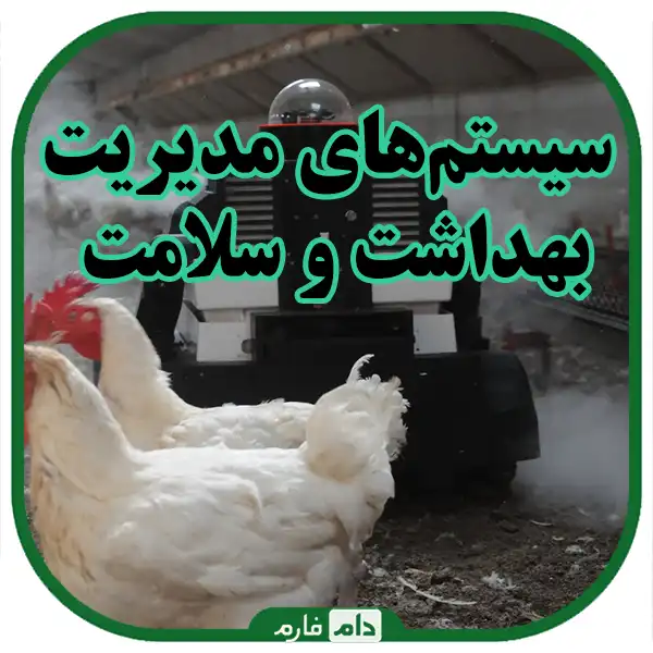 The-automation-revolution-in-the-chicken-breeding-industry