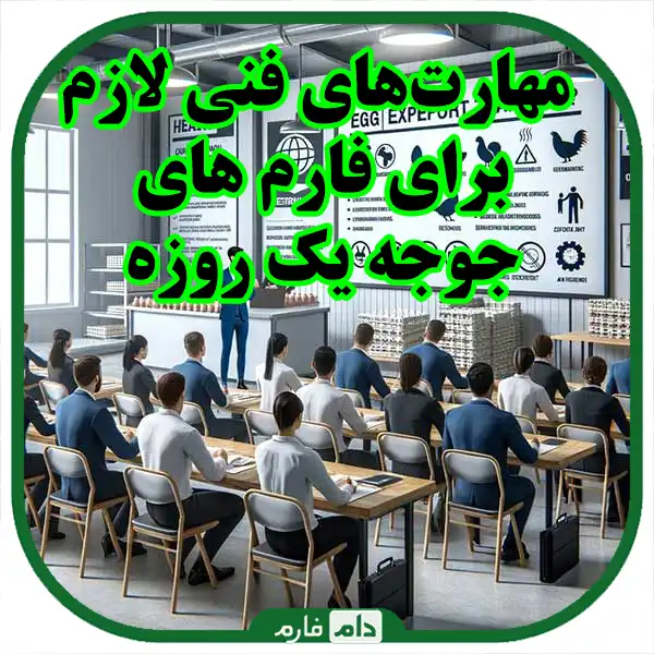 Key-skills-for-success-in-raising-dayold-chicks