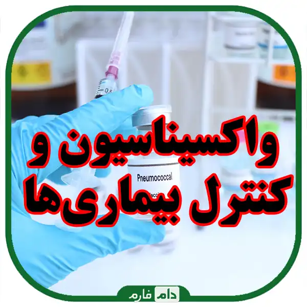 Preparing-chickens-for-transfer-to-the-breeding-hall