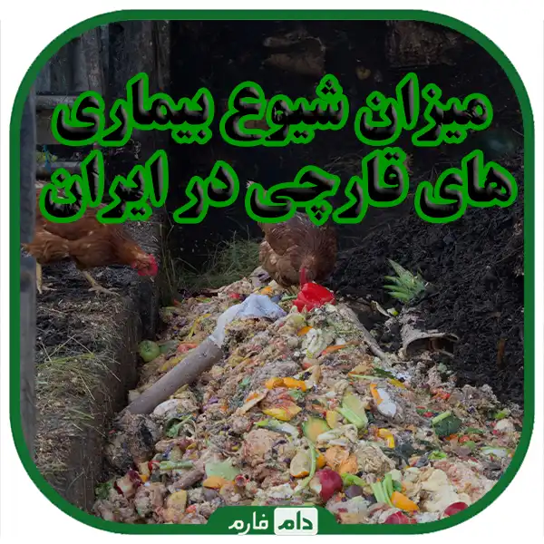 Common-causes-of-fungal-diseases-in-chickens-and-plants-with-natural-remedies