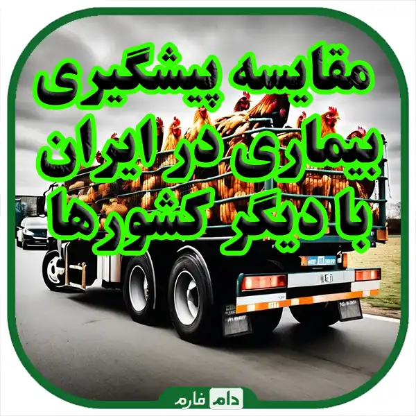 Diseases-caused-by-improper-transportation-of-day-old-chicks