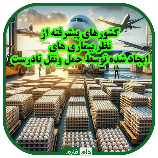 Diseases-caused-by-improper-transportation-of-day-old-chicks