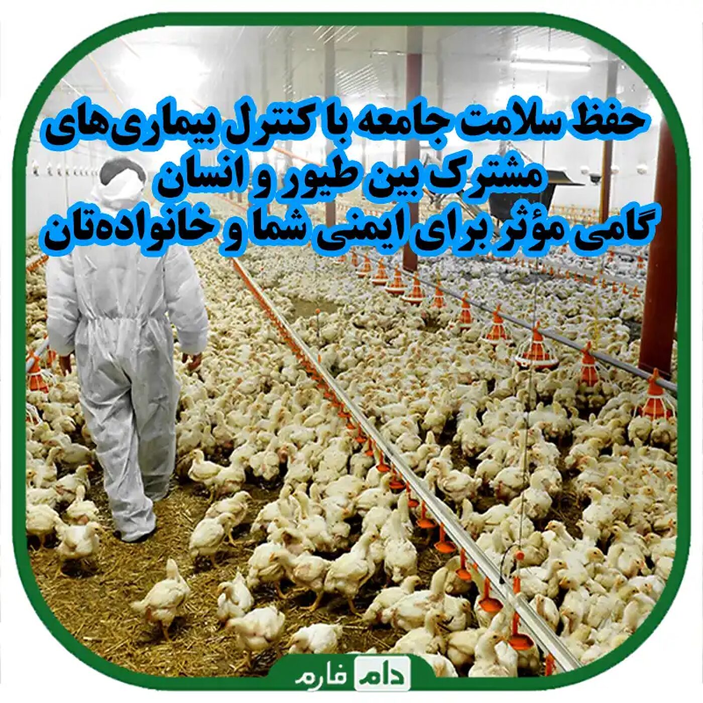 راه‌های_مؤثر_برای_کنترل_بیماری‌های_مشترک_بین_طیور_و_انسان_و_اهمیت_بهداشت_در_کاهش_مخاطرات