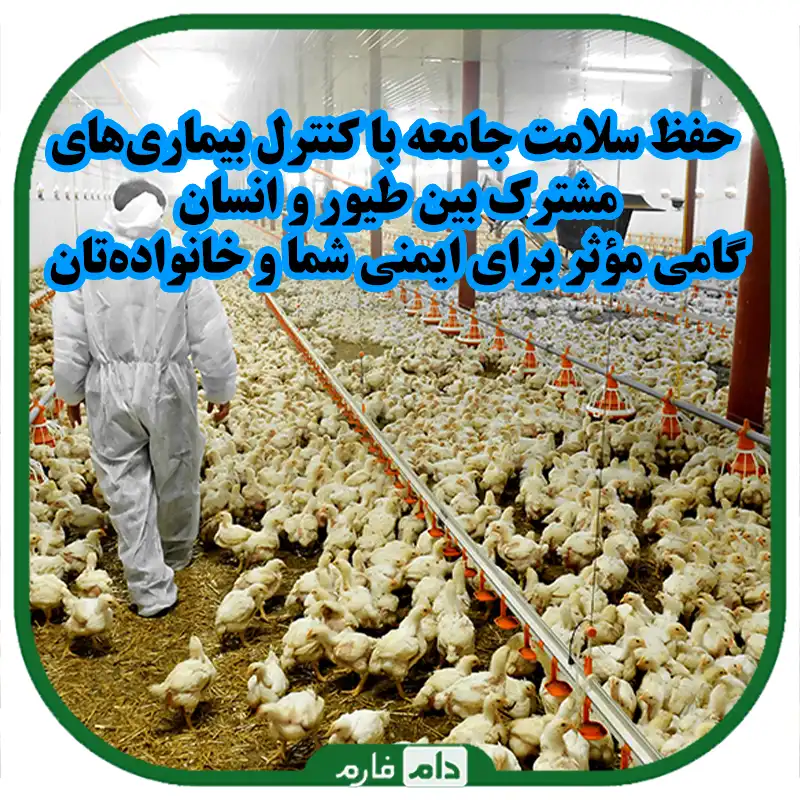 راه‌های_مؤثر_برای_کنترل_بیماری‌های_مشترک_بین_طیور_و_انسان_و_اهمیت_بهداشت_در_کاهش_مخاطرات