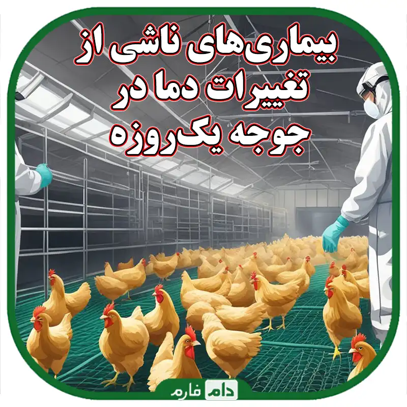 بیماری‌های_ناشی_از_تغییرات_دما_در_جوجه_یک‌روزه
