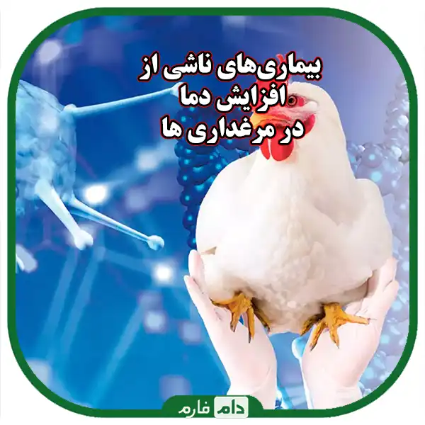 Diseases-caused-by-temperature-changes-in-day-old-chicks