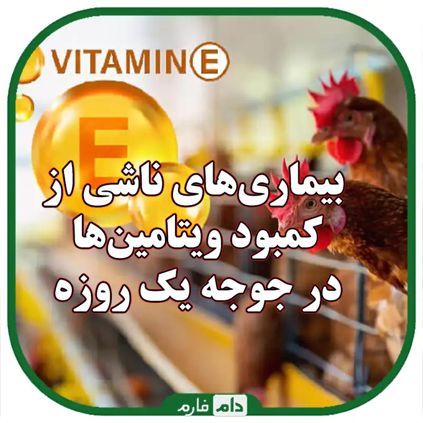 بیماری‌های_ناشی_از_کمبود_ویتامین‌ها_در_جوجه_یک_روزه