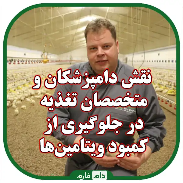 Diseases-caused-by-vitamins-in-day-old-chicks