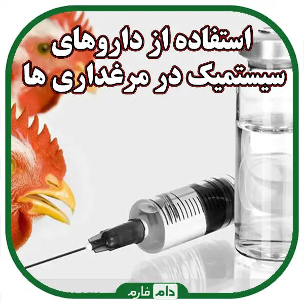 Symptoms-of-skin-diseases-in-day-old-chicks