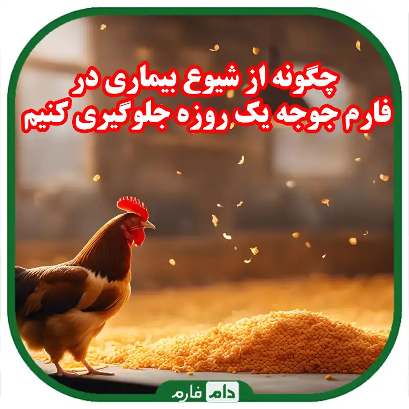 چگونه_از_شیوع_بیماری_در_فارم_جوجه_یک_روزه_جلوگیری_کنیم