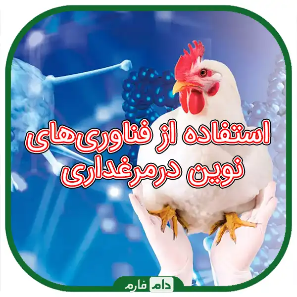 How-to-prevent-the-disease-of-one-day-old-chicks