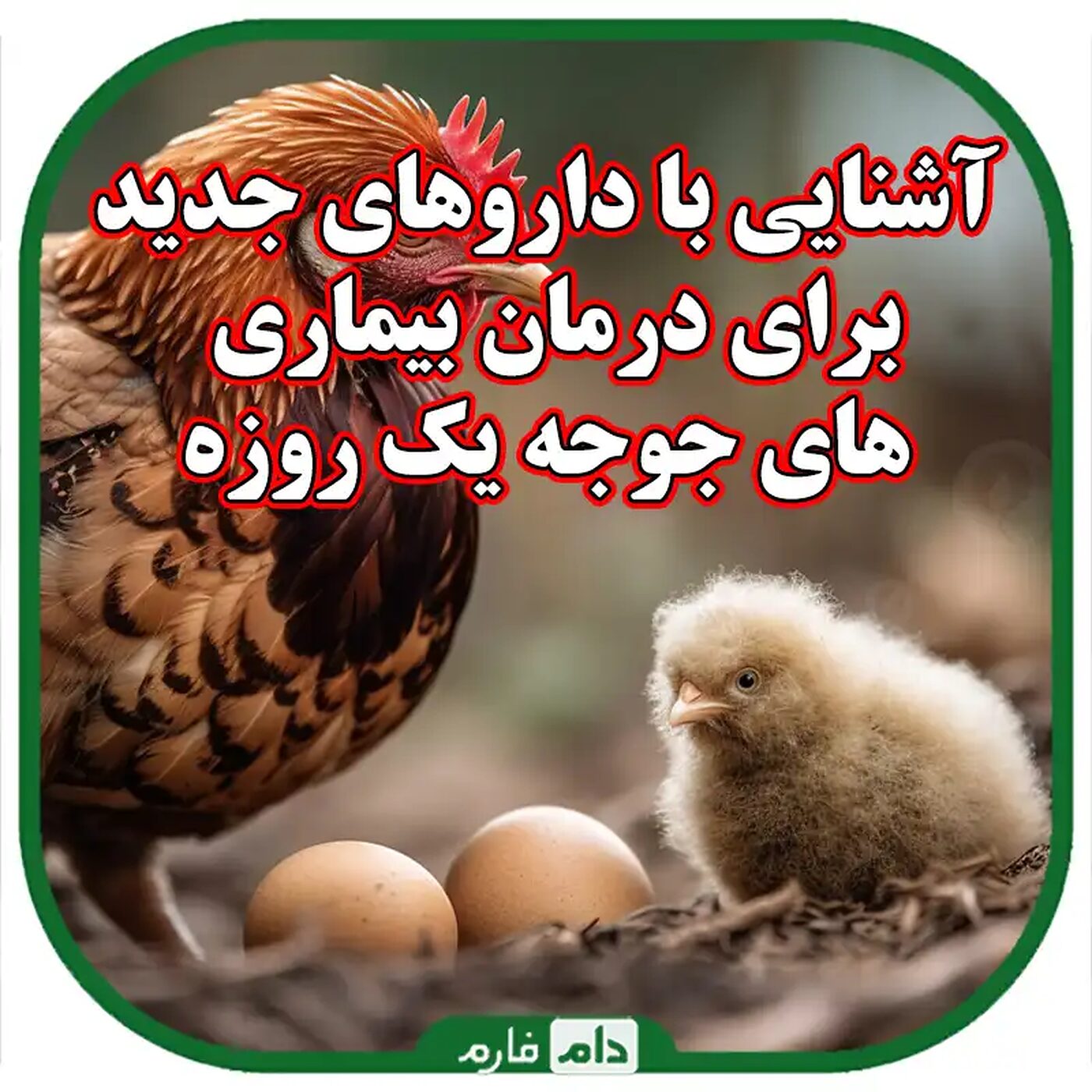 آشنایی_با_داروهای_جدید_برای_درمان_بیماری‌های_جوجه_یک_روزه