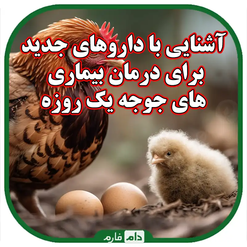 آشنایی_با_داروهای_جدید_برای_درمان_بیماری‌های_جوجه_یک_روزه
