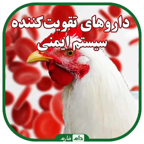 Acquaintance-with-new-drugs-for-the-treatment-of-day-old-chicken-diseases