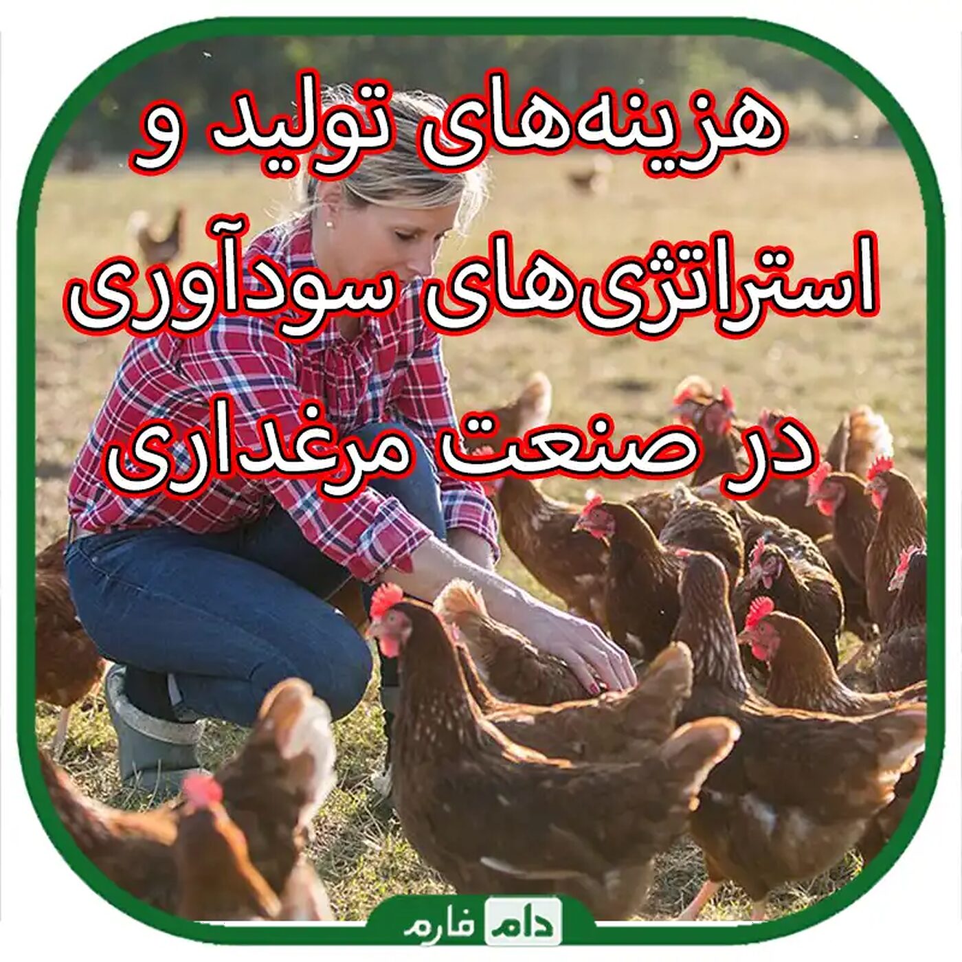 هزینه‌های_تولید_و_استراتژی‌های_سودآوری_در_صنعت_مرغداری_