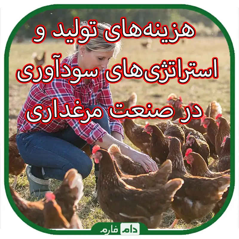 هزینه‌های_تولید_و_استراتژی‌های_سودآوری_در_صنعت_مرغداری_