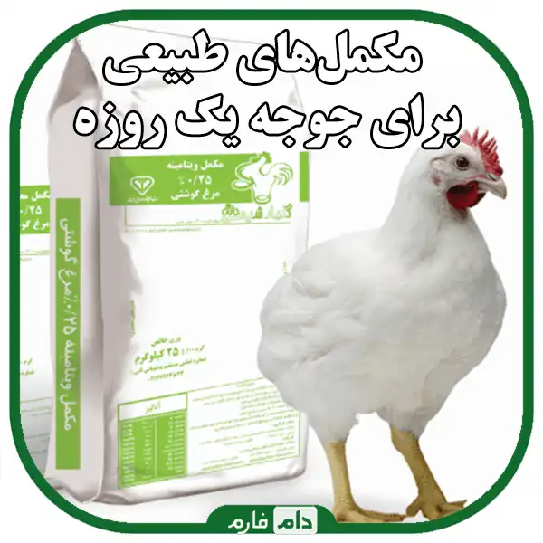 Natural-remedies-for-day-old-chicken-diseases