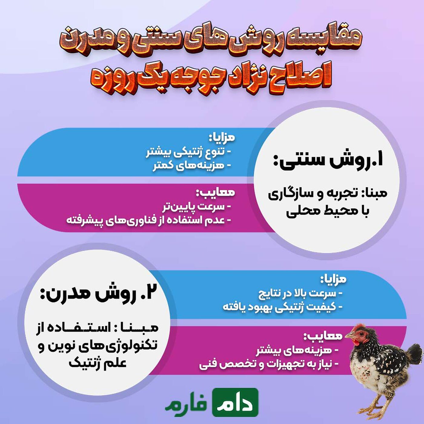 تحول_در_اصلاح_نژاد_جوجه_یک_روزه_:_از_سنتی_تا_مدرن