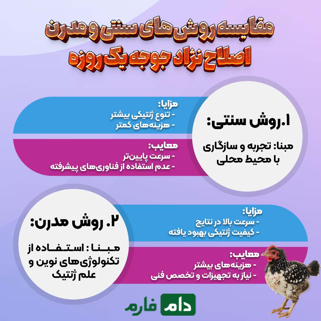 تحول_در_اصلاح_نژاد_جوجه_یک_روزه_:_از_سنتی_تا_مدرن