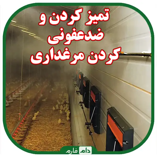 Ways-to-control-one-day-chicken-diseases-in-the-cold-season