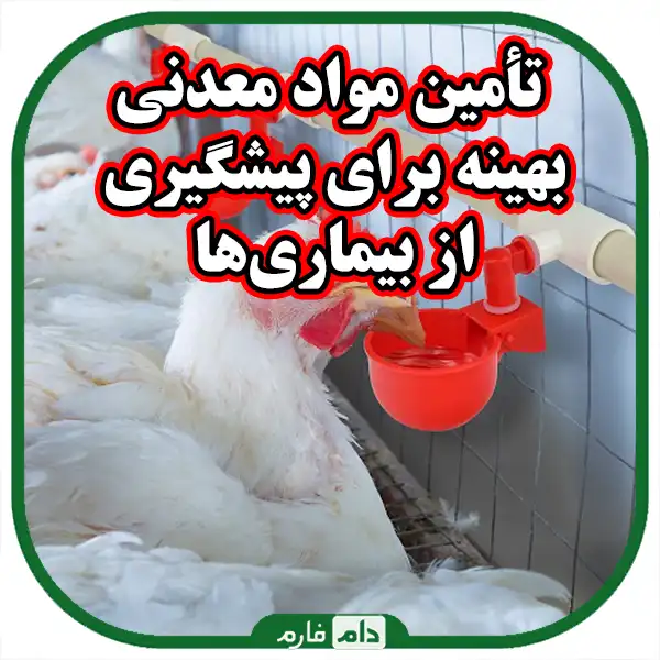 Mineral-complexes-and-related-diseases-in-day-old-chicks