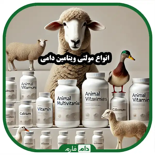 All-kinds-of-animal-multivitamins:-choosing-the-best-supplement-for-livestock-and-poultry